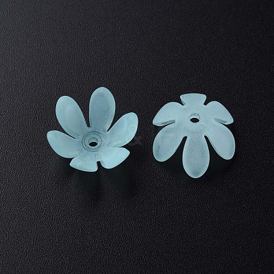 Transparent Acrylic Beads MACR-S373-47-D07-1