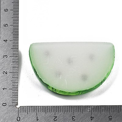 Luminous Resin Fruit Slice Display Decoration DJEW-B014-02-1