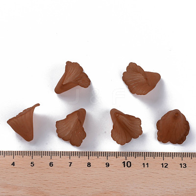 Transparent Acrylic Bead Caps PL551-C06-1