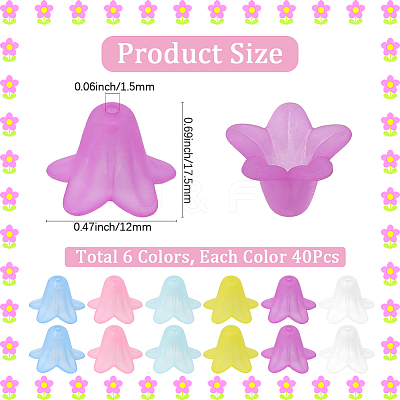 240Pcs 6 Colors Transparent Acrylic Beads FACR-SC0001-04-1