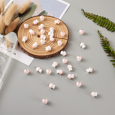 Plastic Pendants KY-TA0001-15G-1