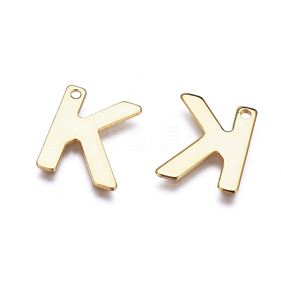 304 Stainless Steel Charms STAS-P141-G-M-1