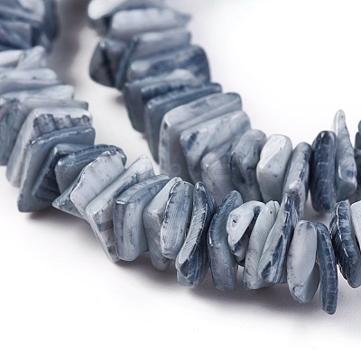 Natural Shell Beads Strands X-BSHE-I008-01-1