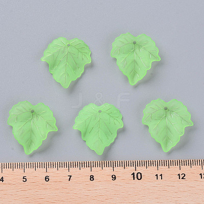Autumn Theme Transparent Frosted Acrylic Pendants X-PAF002Y-28-1