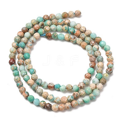 Natural Imperial Jasper Beads Strands G-L578-A13-1