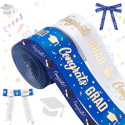 Gold Stamping Polyester Printed Ribbon OCOR-PH0004-91A-1