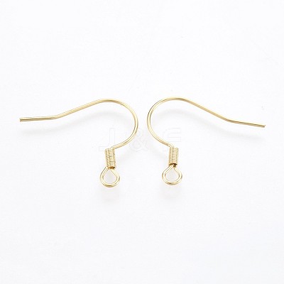 304 Stainless Steel Earring Hooks STAS-P221-04G-1