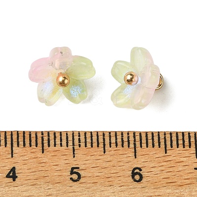 Alloy Acrylic Pendants TACR-P016-01G-16-1