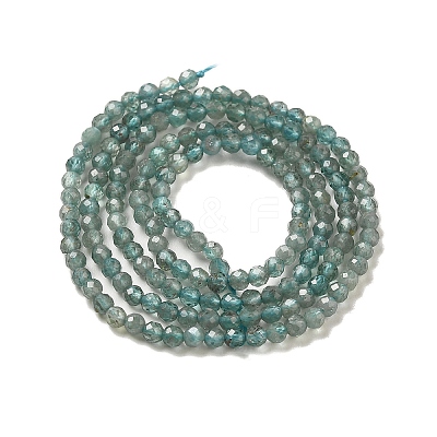 Natural Apatite Beads Strands G-B074-B09-01-1