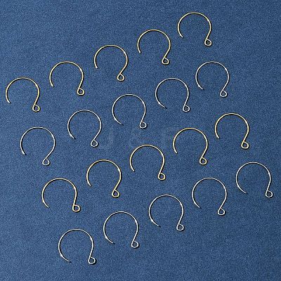 24Pcs 2 Colors Ion Plating(IP) 304 Stainless Steel Earring Hooks STAS-FS0001-65-1