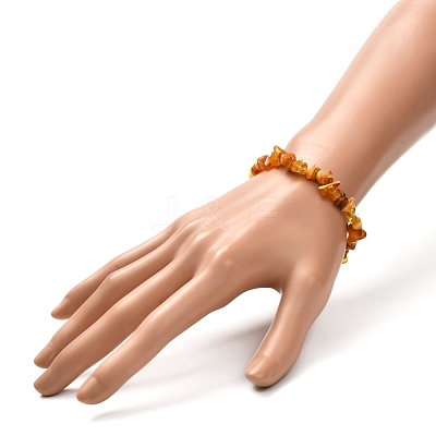 Natural Amber Chip Beads Stretch Bracelet for Kid BJEW-JB06819-01-1