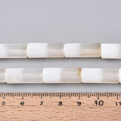 Natural White Agate Beads Strands G-T144-31-1