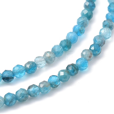 Natural Apatite Beaded Necklaces NJEW-JN02990-03-1