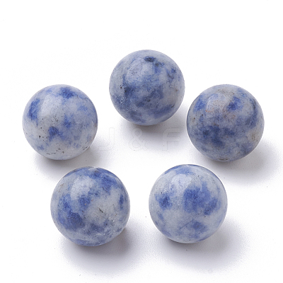 Natural Blue Spot Jasper Beads G-S289-15-10mm-1