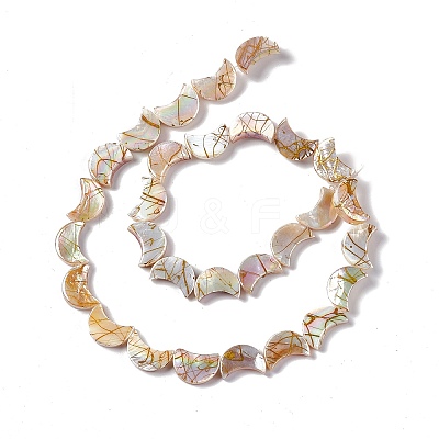 Drawbench Style Natural Freshwater Shell Beads Strands X-SHEL-F003-05-1