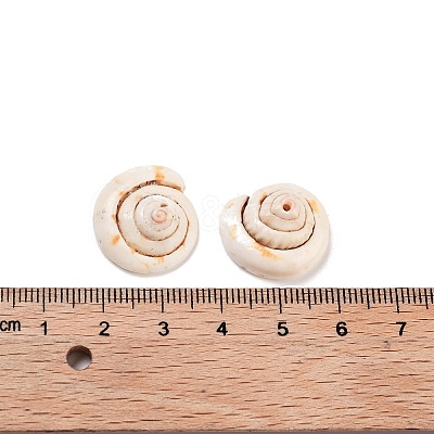 Natural Shiva Eye Shell Beads BSHE-S090-1