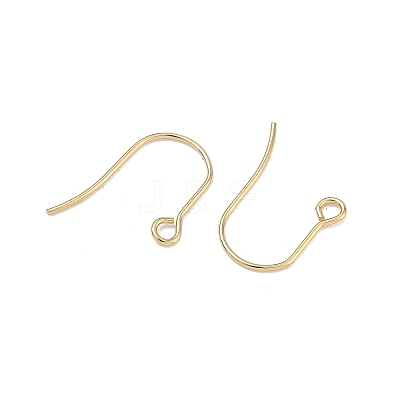 304 Stainless Steel Earring Hooks STAS-F142-01G-1