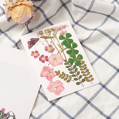 Pressed Dried Flowers DIY-YWC0001-95-1