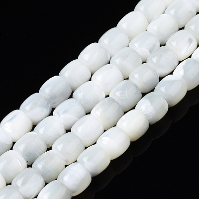 Natural Trochid Shell/Trochus Shell Beads Strands X-SSHEL-N034-121-B01-1