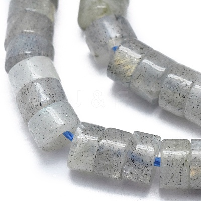 Natural Labradorite Beads Strand G-A177-01L-04-1