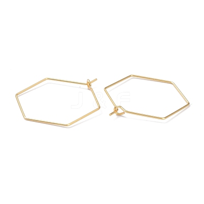 316 Stainless Steel Hoop Earring Findings X-STAS-K216-03B-G-1