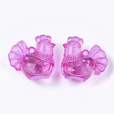 Transparent Acrylic Pendants TACR-S133-114-1