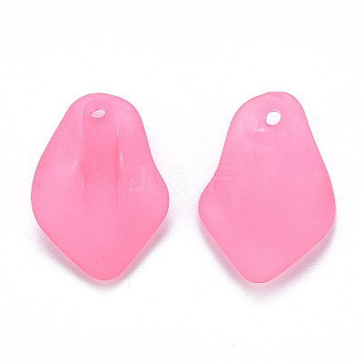 Transparent Frosted Acrylic Pendants MACR-S371-03A-1