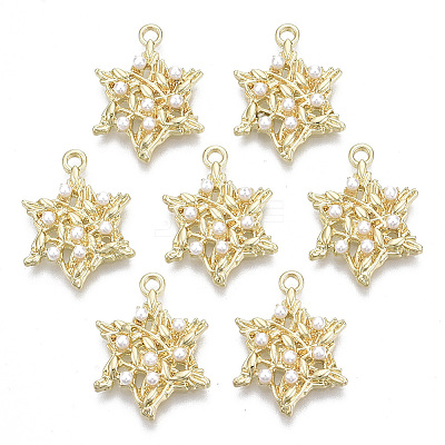 Alloy Pendants LS-PALLOY-R116-06-1