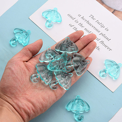 Transparent Acrylic Pendants TACR-T024-01B-946-1