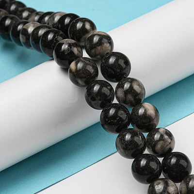 Natural Black Fossil Coral Beads Strands G-R494-A04-04-1