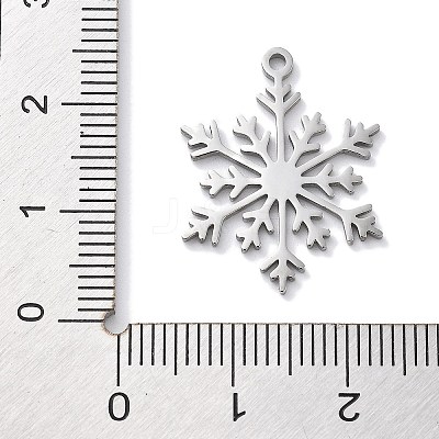 Christmas Theme Anti-Tarnish 304 Stainless Steel Pendants STAS-R003-04P-05-1