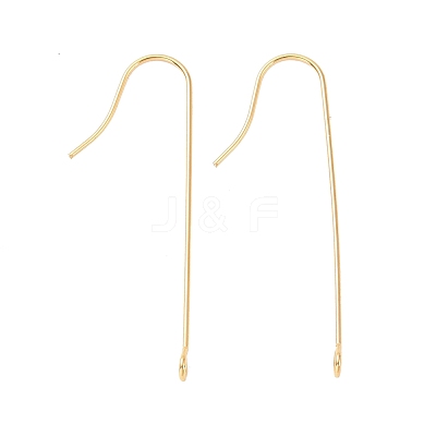316 Surgical Stainless Steel Earring Hooks STAS-E027-01A-G-1