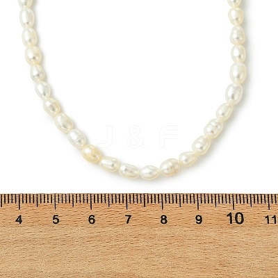 Adjustable Natural Cultured Freshwater Pearl Rice Beaded Necklaces for Women NJEW-JN06341-1