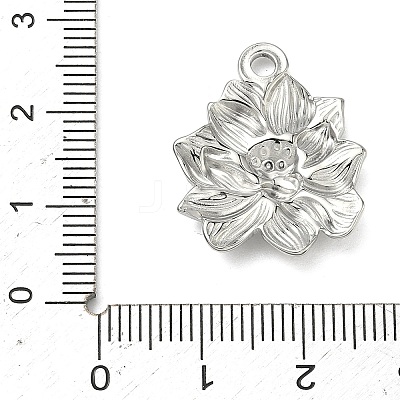 304 Stainless Steel Pendants STAS-C168-02D-P-1