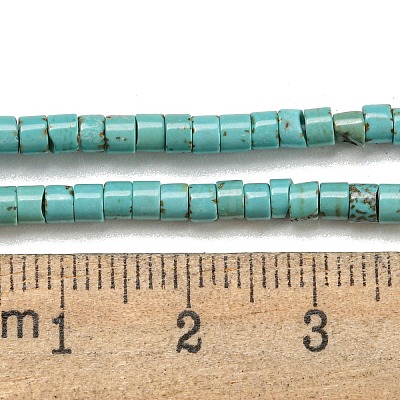 Natural Turquoise Beads Strands G-C084-D10-02-1