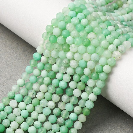 Natural Chrysoprase Beads Strands G-C196-A02-3mm-1