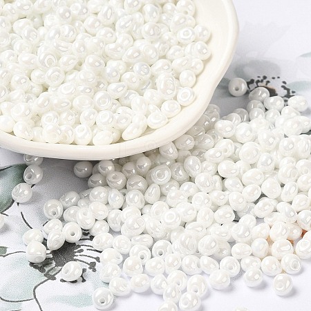 6/0 Glass Seed Beads X1-SEED-M012-01A-16-1