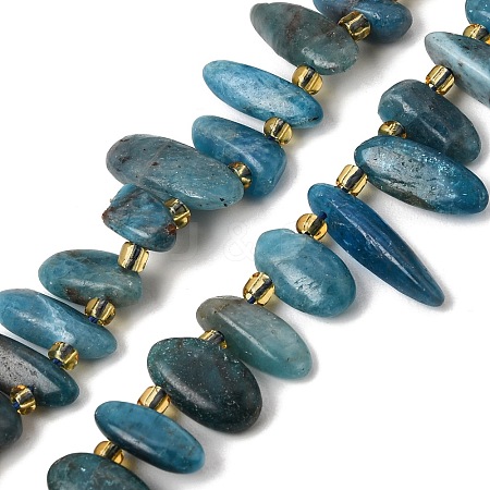 Natural Apatite Beads Strands GG-CBADF20-A08-1