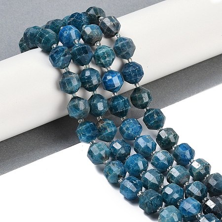 Natural Apatite Beads Strands G-O201B-146H-1