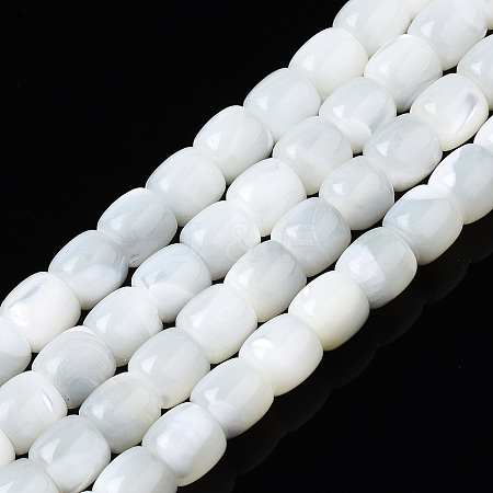 Natural Trochid Shell/Trochus Shell Beads Strands X-SSHEL-N034-121-B01-1
