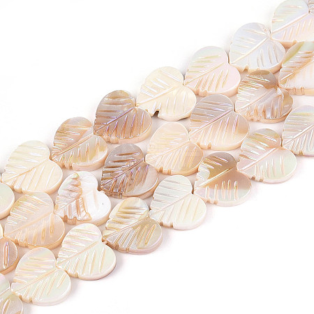 Electroplated Natural Freshwater Shell Carved Beads Strands SHEL-T020-14-1