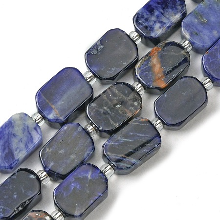 Natural Sodalite Beads Strands G-C098-A08-01-1