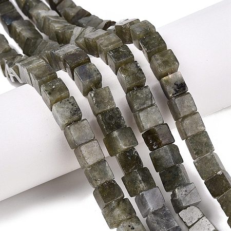 Natural Labradorite Beads Strands G-T139-8x8-19A-1