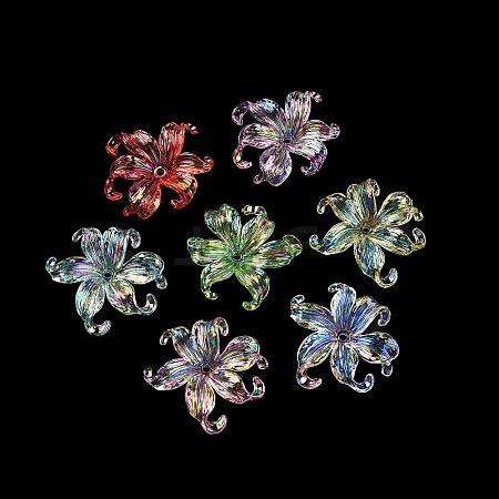 Transparent Acrylic Beads LS-X-MACR-K358-06A-1