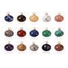 Yilisi 30Pcs 15 Colors Natural Gemstone Charms G-YS0001-01-18