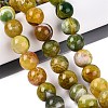 Natural Dragon Veins Agate Beads Strands G-Q606-42B-D02-1