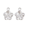 304 Stainless Steel Charms X-STAS-L317-02P-1