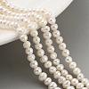 Natural Cultured Freshwater Pearl Beads Strands PEAR-C003-07D-2