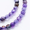 Natural Agate Beads Strands X-G-E469-12J-3