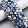Natural Sodalite Round Bead Strands G-E334-6mm-08-6